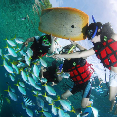 8月17/24出发 广州直飞马来西亚兰卡威 5天3晚自由行（往返含税机票+接送机）￥1199